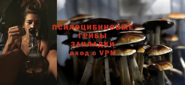 ECSTASY Козловка